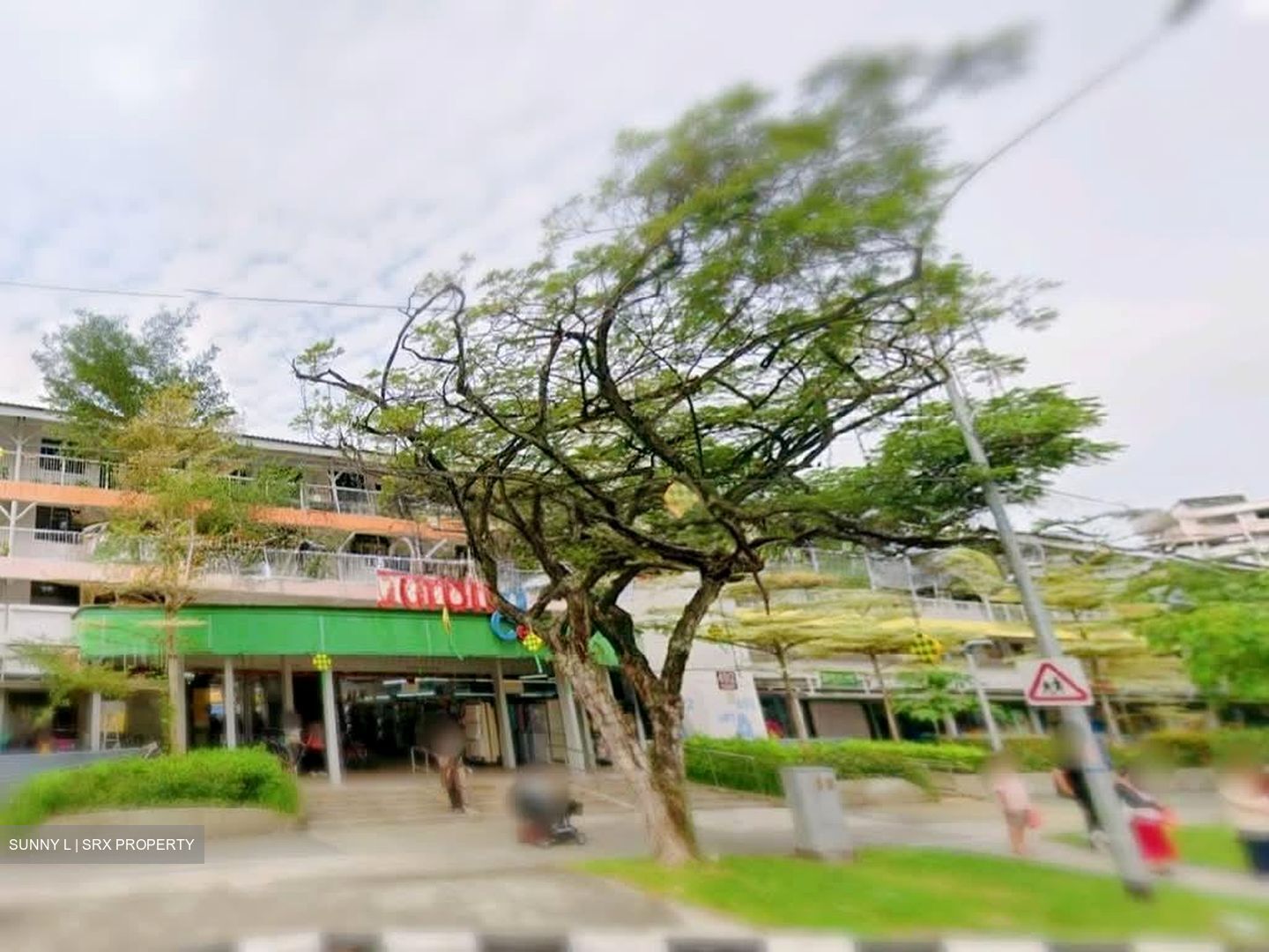 Hong Kah Ville (D22), Shop House #585775891